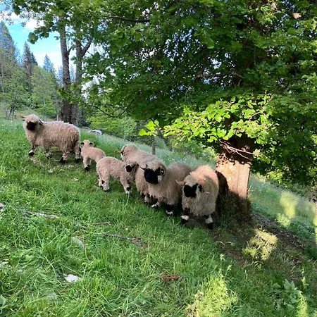 Шале Bergchalet Am Hochkoenig *