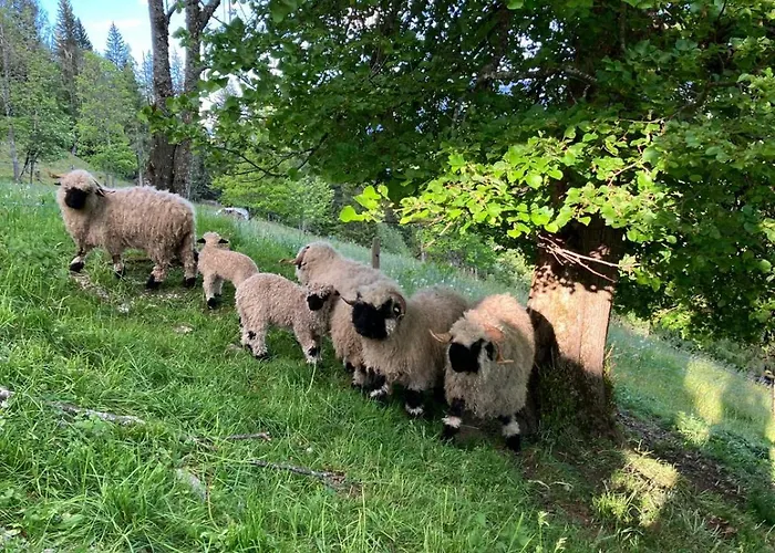 Chalet Bergchalet Am Hochkoenig *